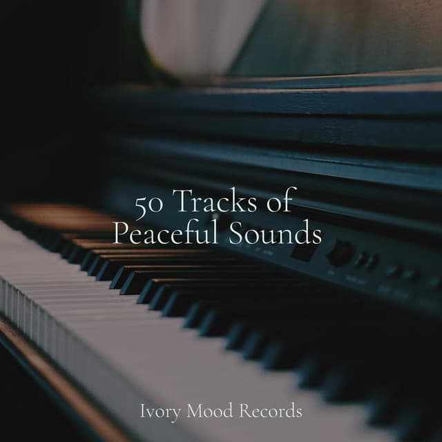 50 Tracks of Peaceful Sounds - Reiki Tribe
