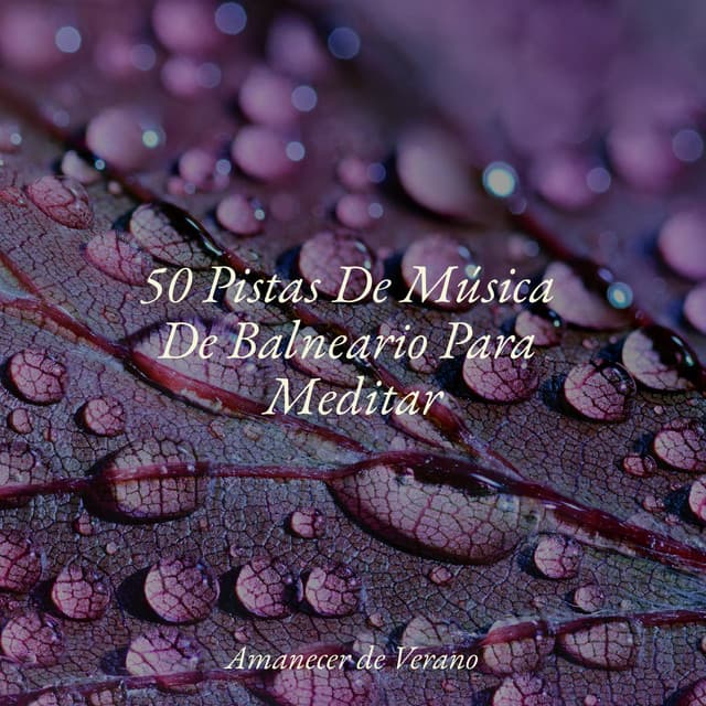 50 Pistas De Música De Balneario Para Meditar - Piano Suave Relajante