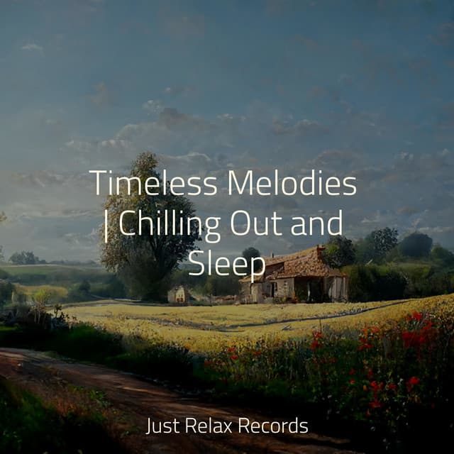 Timeless Melodies | Chilling Out and Sleep - Zen Music Garden