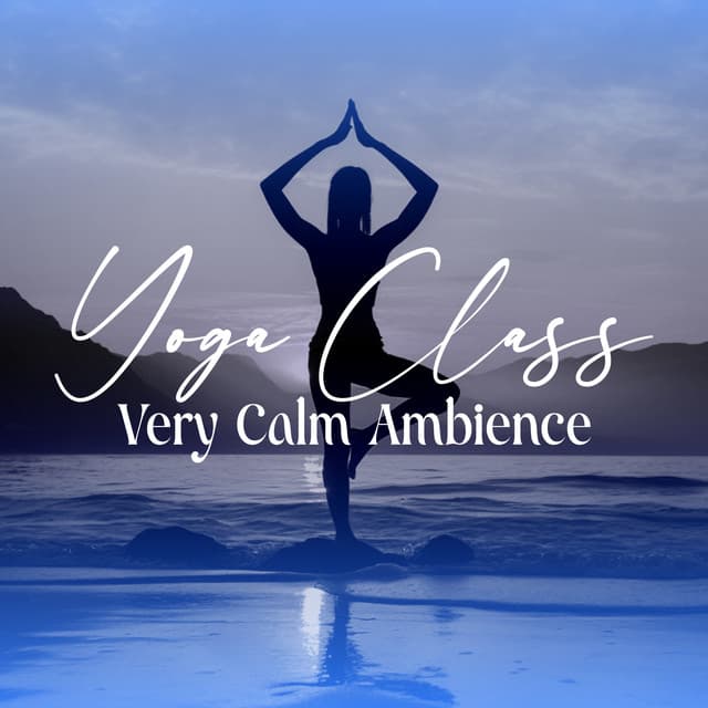Yoga Class Very Calm Ambience - Yin Yoga Academy