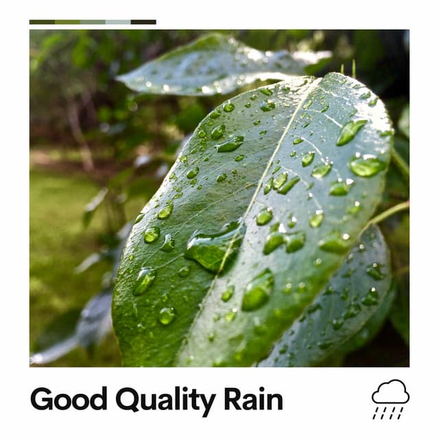 Good Quality Rain - Rainfall Place