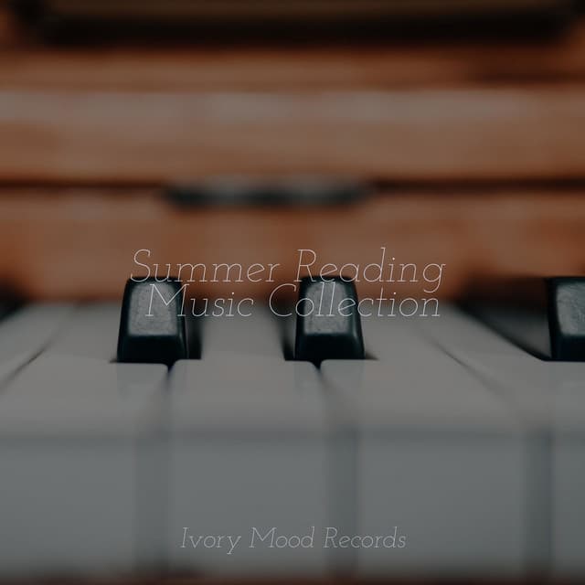 Summer Reading Music Collection - Meditation