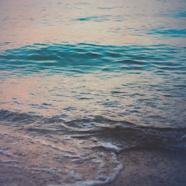 Nature Sounds - Nature Sounds