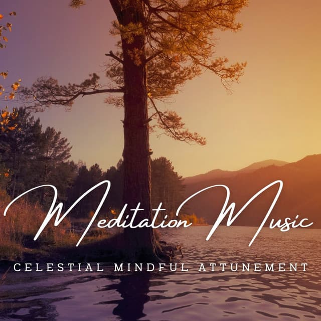 Nature's Tranquil Focus: Meditation Music - Calm Solitude