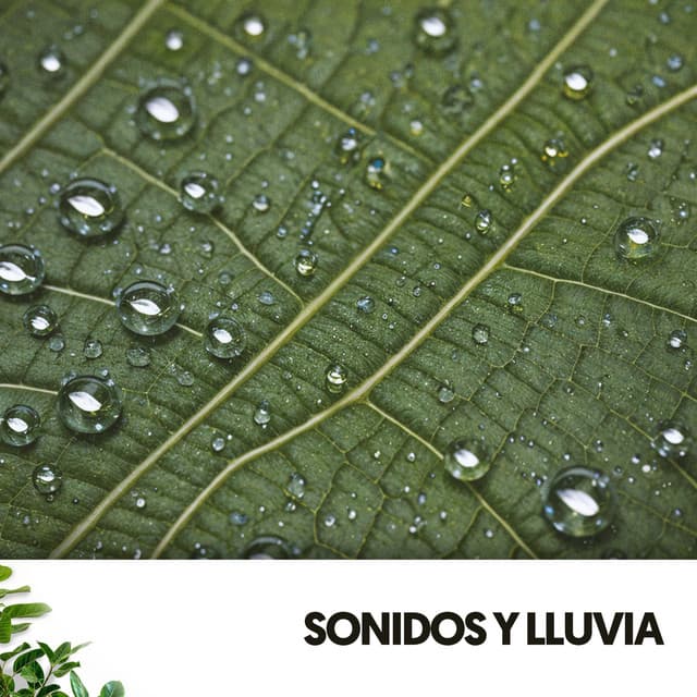 Sonidos y Lluvia: Melodías acuáticas de la naturaleza - Ruido Blanco Hart