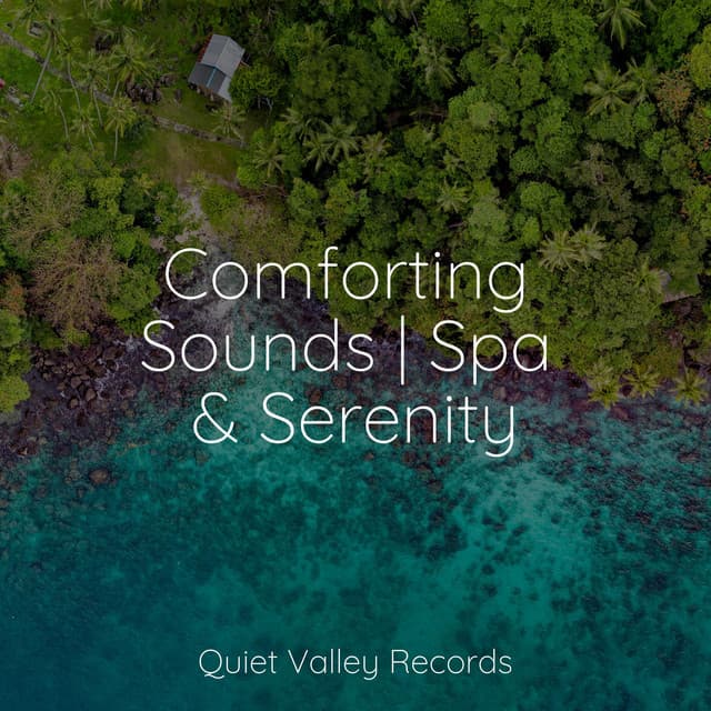 Comforting Sounds | Spa & Serenity - Instrumental