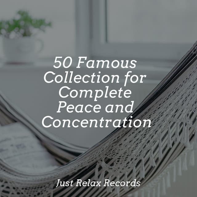 50 Famous Collection for Complete Peace and Concentration - Spa Relaxation & Spa