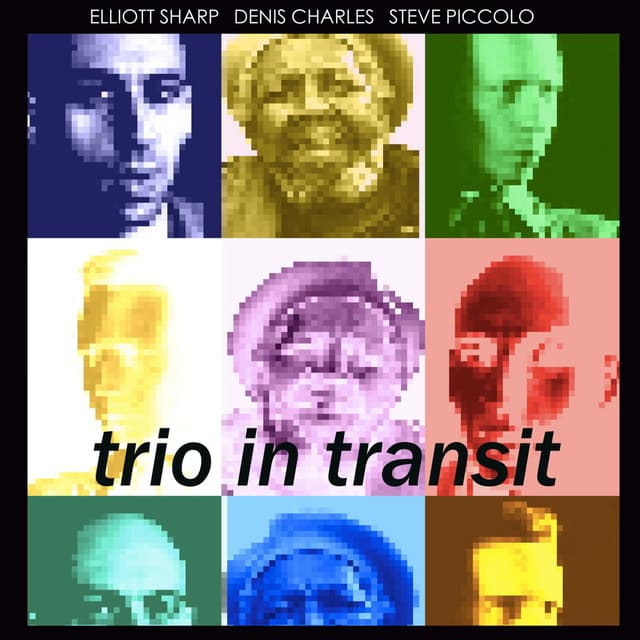 Trio in Transit - Elliott Sharp