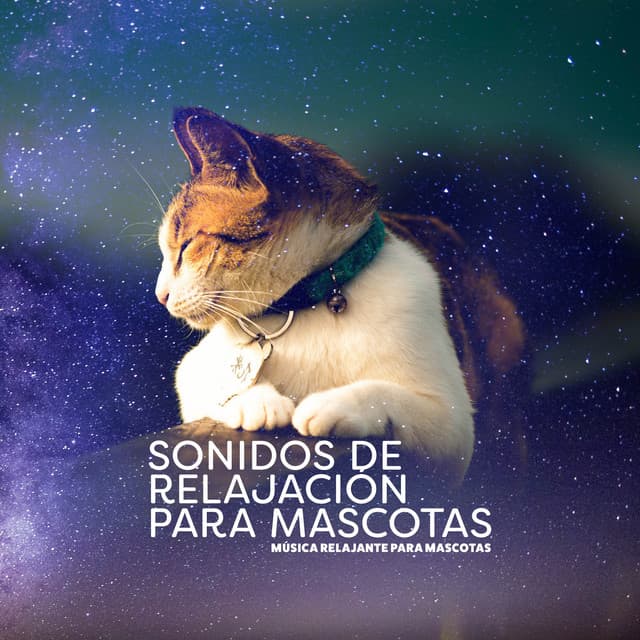 Música relajante para mascotas