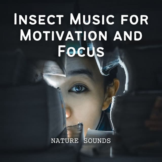 Nature Sounds: Insect Music for Motivation and Focus - Nature Sounds Library