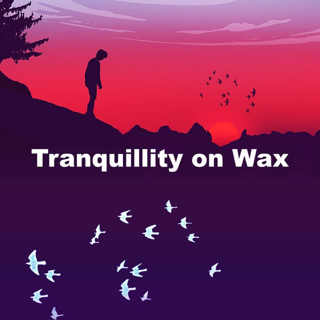 Tranquillity on Wax - Study Music Library