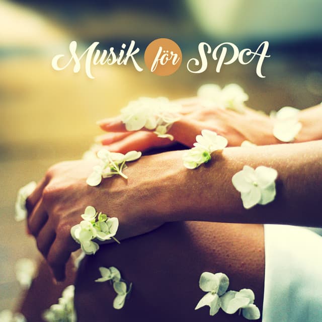 Avslappnande Meditation Akademi