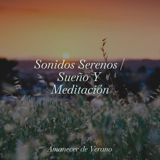 Sonidos Serenos | Sueño Y Meditación - Meditation