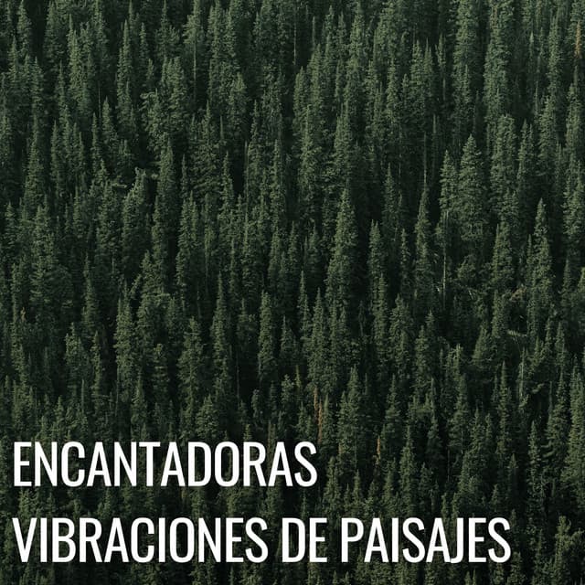 Encantadoras Vibraciones De Paisajes - Paisajes sonoros épicos