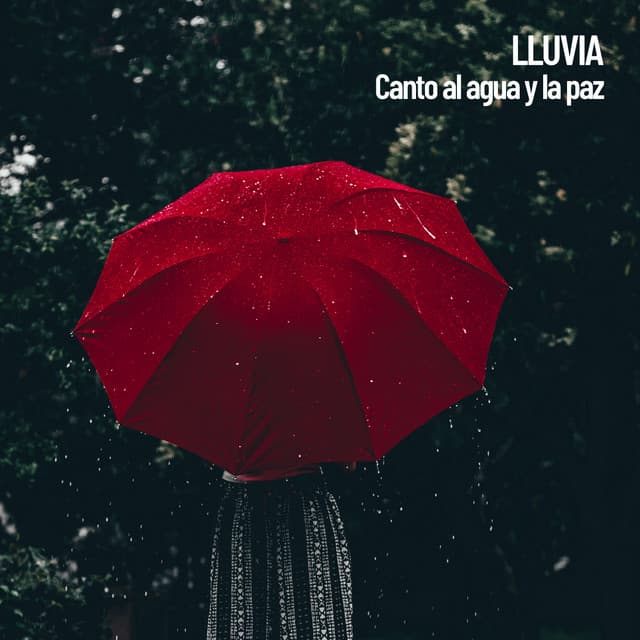 Lluvia: Canto al agua y la paz - The Rain Library