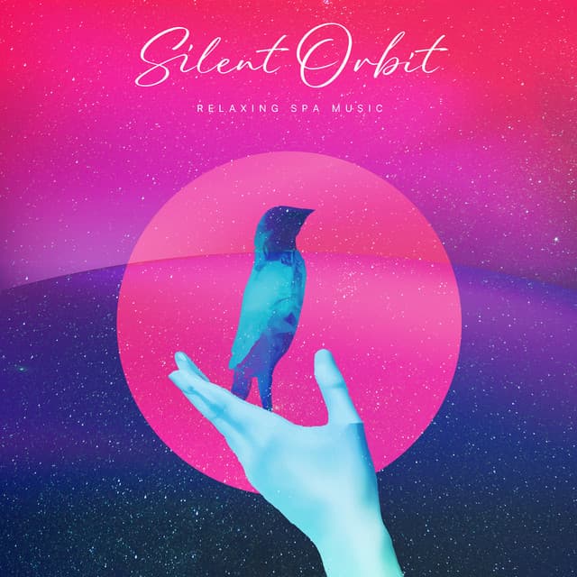 Silent Orbit - Relaxing Spa Music