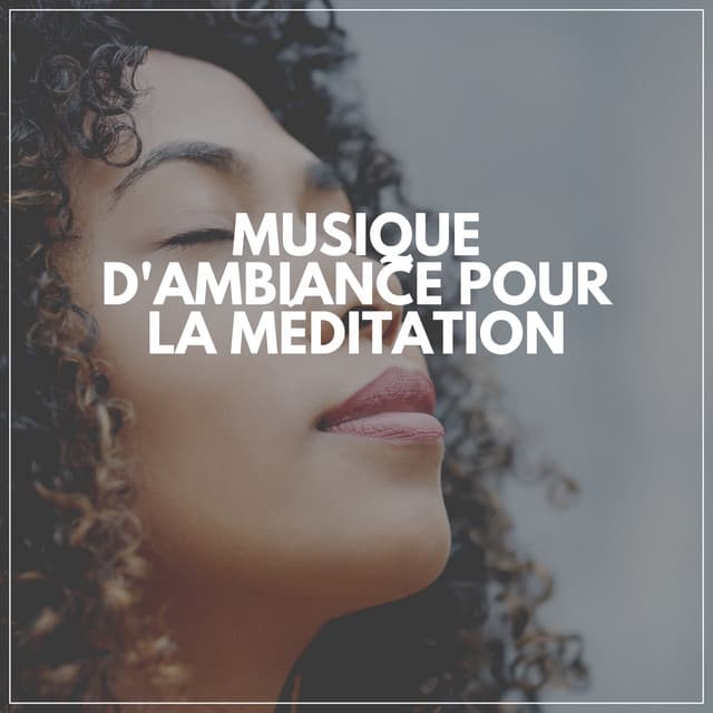 Musique D'ambiance Pour LA Méditation - Les Voies de la Relaxation
