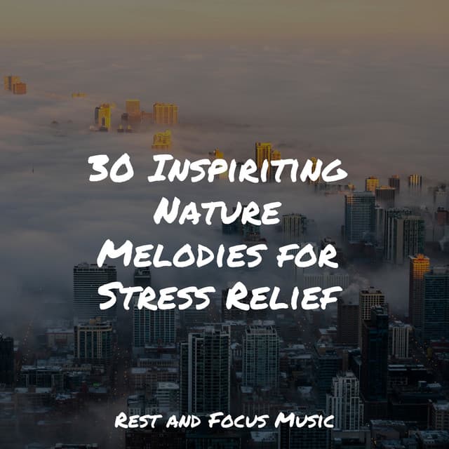 30 Inspiriting Nature Melodies for Stress Relief - Deep Focus