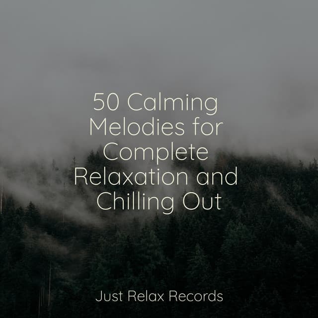 50 Calming Melodies for Complete Relaxation and Chilling Out - Forest Sounds