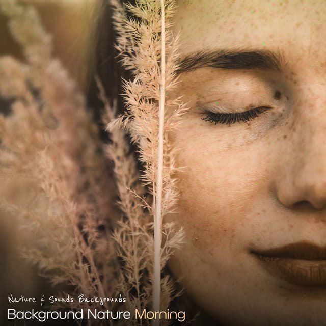 # 1 A Background Nature Morning - Nature & Sounds Backgrounds