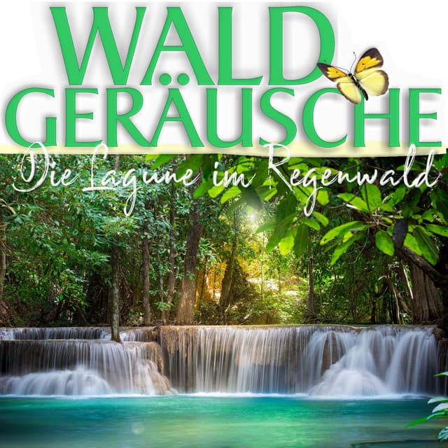 Der Regenwald