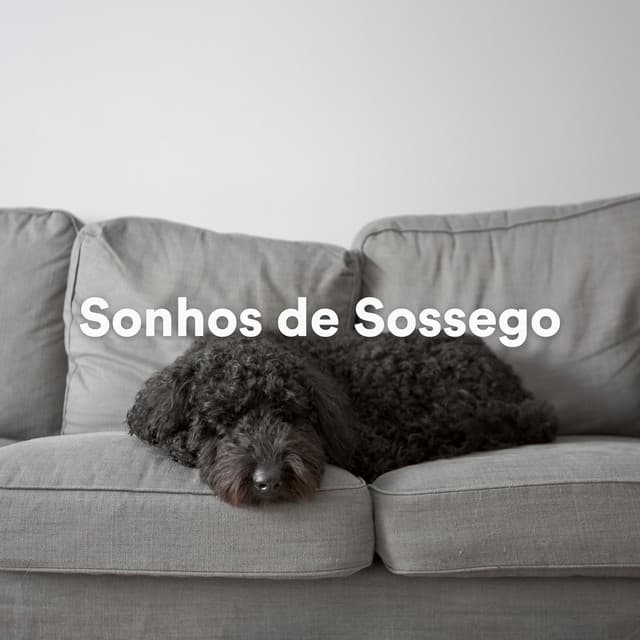 Sonhos de Sossego - Música de Cachorro Calmante
