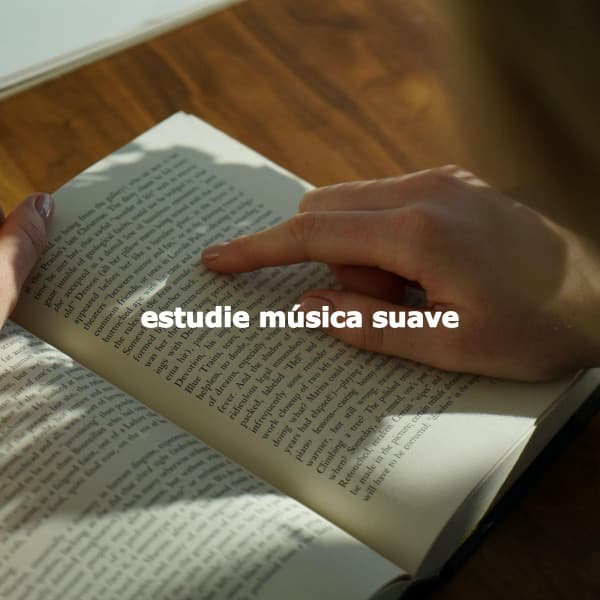 estudie música suave - Restaurante Clásico Jazz