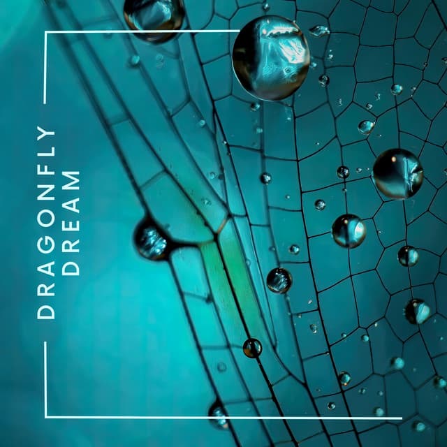 Dragonfly Dream - Isabel Sallow