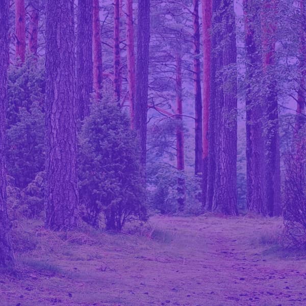 Jazz Romántica para Hoteles