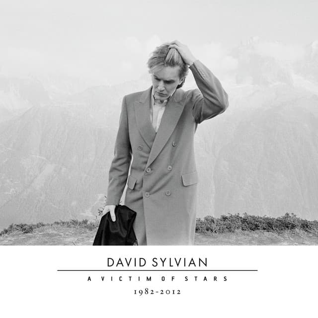 A Victim Of Stars 1982-2012 - David Sylvian