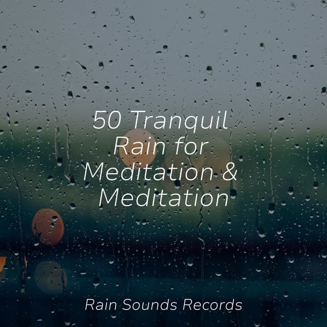 50 Tranquil Rain for Meditation & Meditation - Nature Sounds