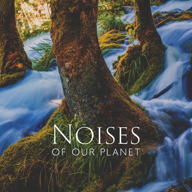 Noises of Our Planet - Relaxing Nature Sounds Collection