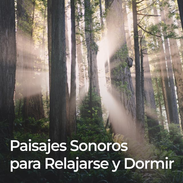 Paisajes Sonoros Para Relajarse Y Dormir - Sonidos de la Naturaleza para Dormir
