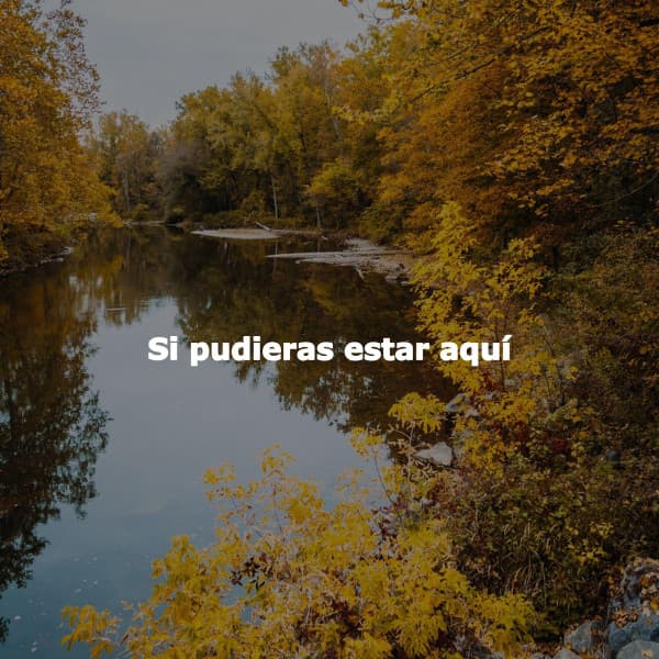 Si pudieras estar aquí - Relaxing Ambient Music