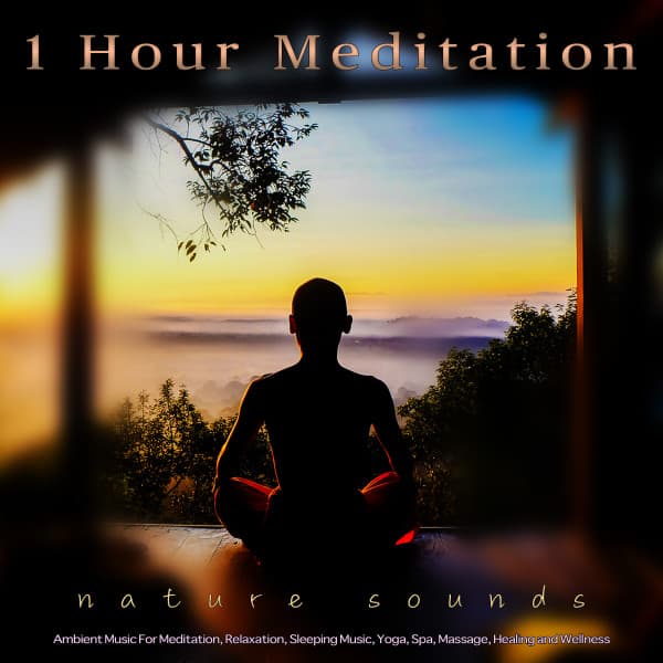 1 Hour Meditation: Ambient Music and Bird Sounds For Meditation, Relaxation, Sleeping Music, Yoga, Spa, Massage, Healing and Wellness - Meditation Music