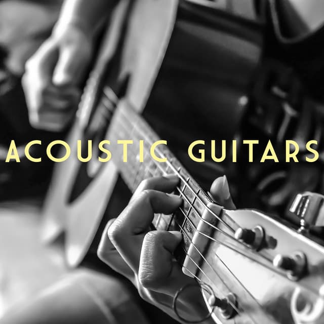 Acoustic Guitars - Spanish Guitar