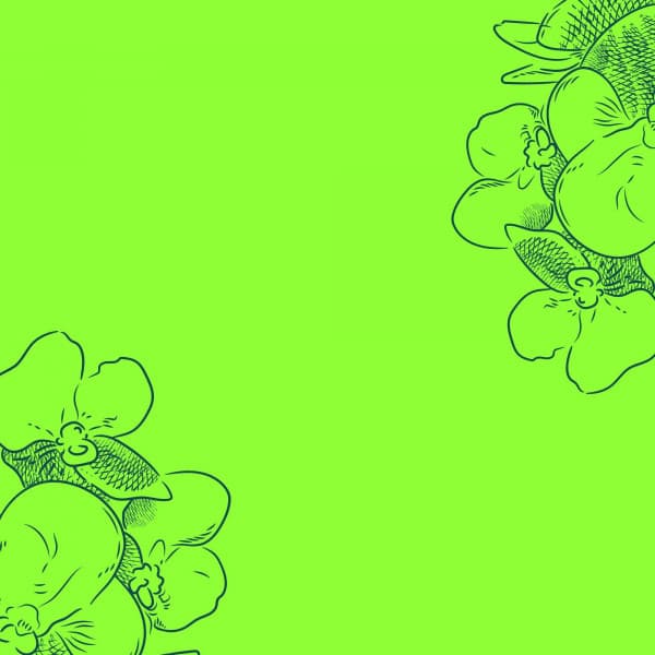 Jazz Organ and Bossa Guitar Trio - Alegre Desayuno Jazz