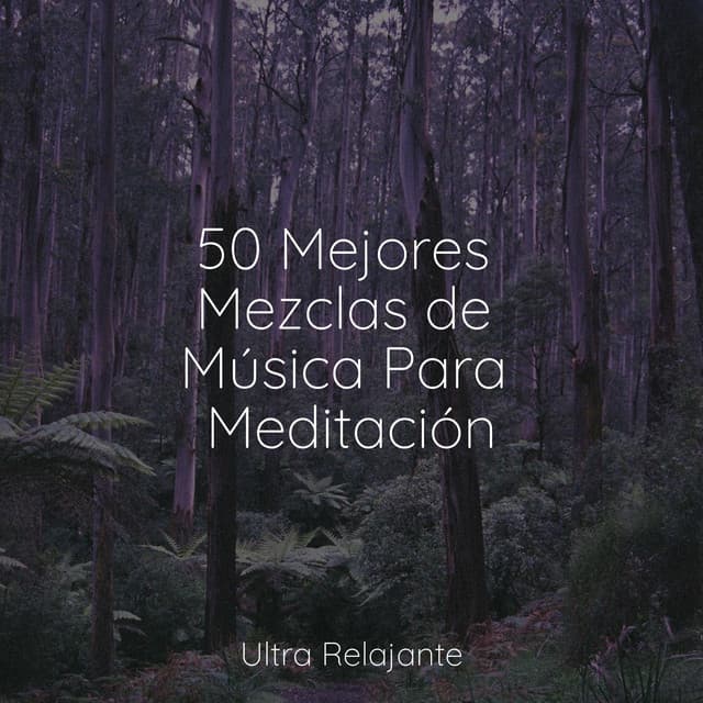 50 Mejores Mezclas de Música Para Meditación - Naturaleza Sonidos