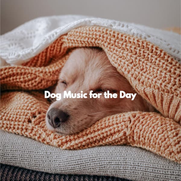 Dog Music for the Day - Coffee House Jazz Playlist