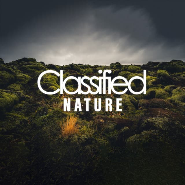Classified Nature - Ocean Sounds