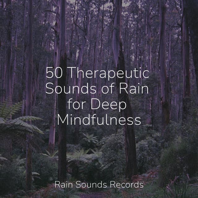 50 Therapeutic Sounds of Rain for Deep Mindfulness - Canciones de Cuna para Bebés Acadèmico