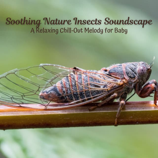 Soothing Nature Insects Soundscape: A Relaxing Chill-Out Melody for Baby - Ambient Forest