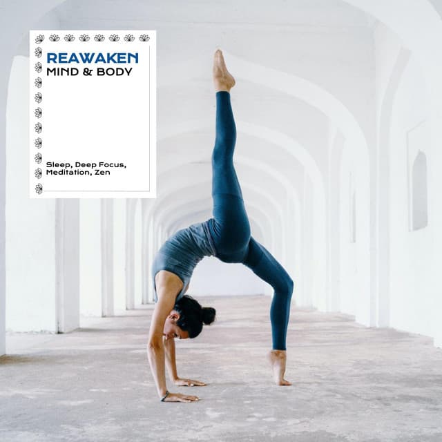 Reawaken Mind & Body: Yoga, Meditation, Sleep and Focus - Relaxing Mindfulness Meditation Relaxation Maestro