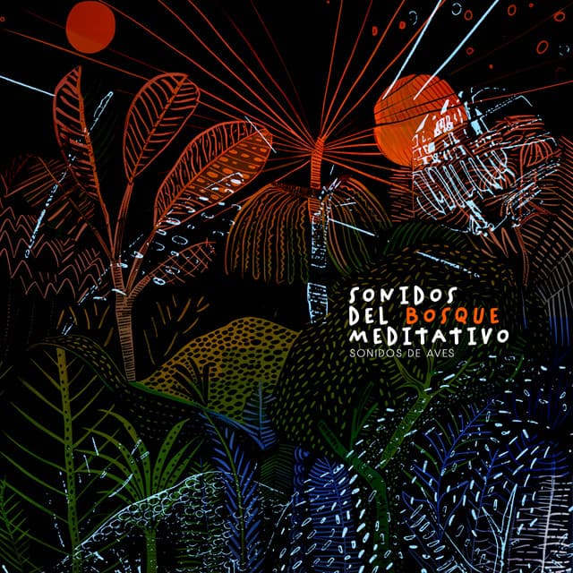 Sonidos del Bosque Meditativo - Sonidos De Aves