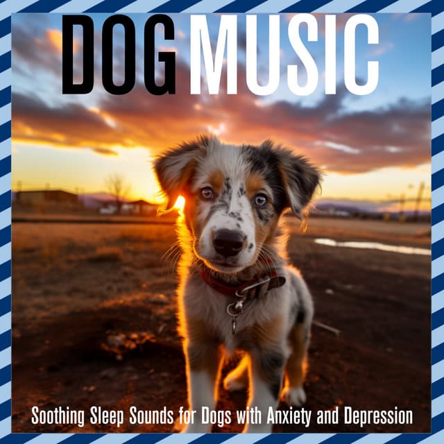 Dog Music: Soothing Sleep Sounds for Dogs with Anxiety and Depression - Relaxmydog