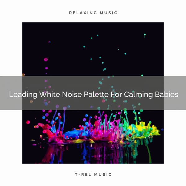 Leading White Noise Palette For Calming Babies - Baby Sleep Aid