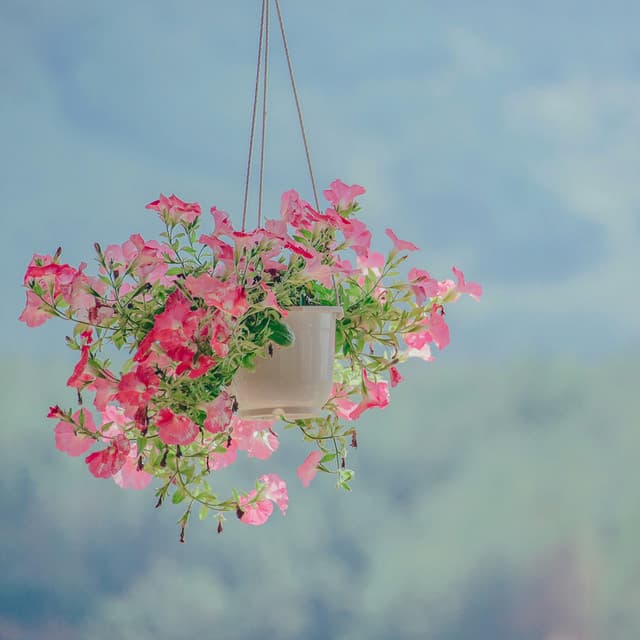 0 Hour Zen: Infinite Horizons - Baltic Nature Sounds