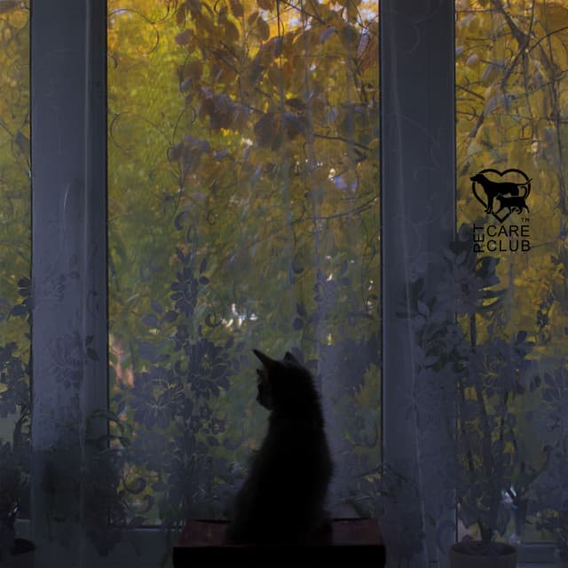 Nervous System Reset for Indoor Cats - Pet Care Club