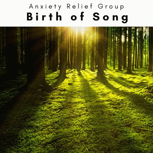2023: Birth of Song - Anxiety Relief Group