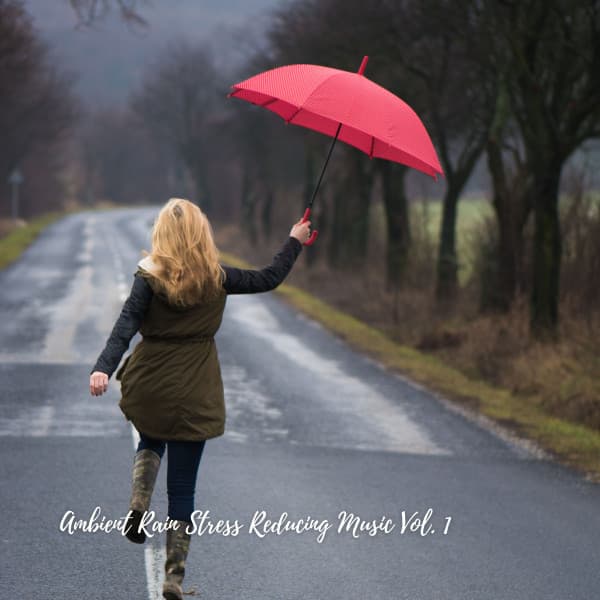 Ambient Rain Stress Reducing Music Vol. 1 - Sound of the Wilderness